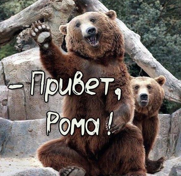 Скачать бесплатно Картинка привет Рома на сайте WishesCards.ru