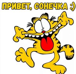 Скачать бесплатно Картинка привет Сонечка на сайте WishesCards.ru
