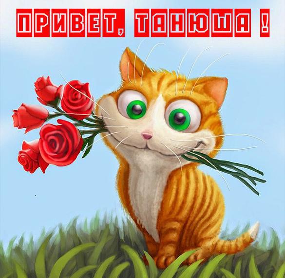 Скачать бесплатно Картинка привет Танюша на сайте WishesCards.ru