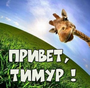 Скачать бесплатно Картинка привет Тимур на сайте WishesCards.ru