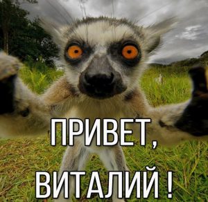 Скачать бесплатно Картинка привет Виталий на сайте WishesCards.ru