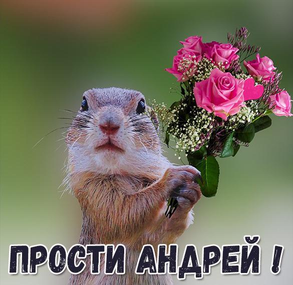 Скачать бесплатно Картинка прости Андрей на сайте WishesCards.ru