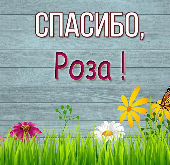 Скачать бесплатно Картинка Роза спасибо на сайте WishesCards.ru