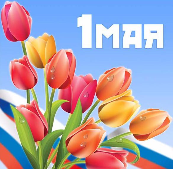 Скачать бесплатно Картинка с 1 мая на сайте WishesCards.ru