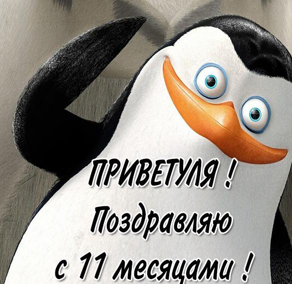 Скачать бесплатно Картинка с 11 месяцами на сайте WishesCards.ru