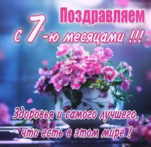 Скачать бесплатно Картинка с 7 месяцами на сайте WishesCards.ru