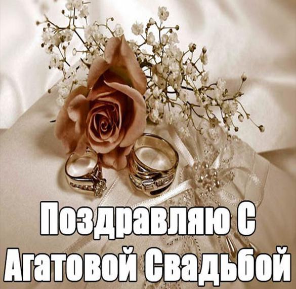 Скачать бесплатно Картинка с агатовой свадьбой на сайте WishesCards.ru