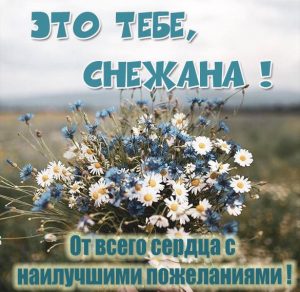 Скачать бесплатно Картинка с цветами для Снежаны на сайте WishesCards.ru