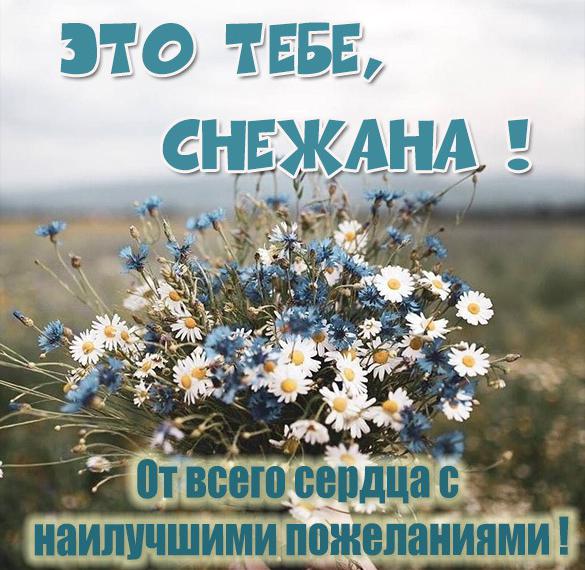 Скачать бесплатно Картинка с цветами для Снежаны на сайте WishesCards.ru
