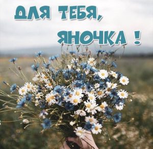 Скачать бесплатно Картинка с цветами для Яночки на сайте WishesCards.ru