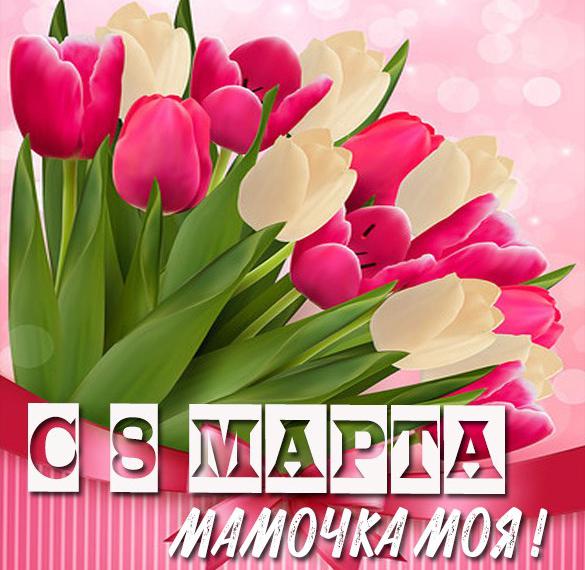 Скачать бесплатно Картинка с цветами маме на 8 марта на сайте WishesCards.ru