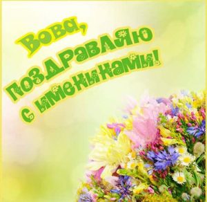 Скачать бесплатно Картинка с днем имени Вова на сайте WishesCards.ru