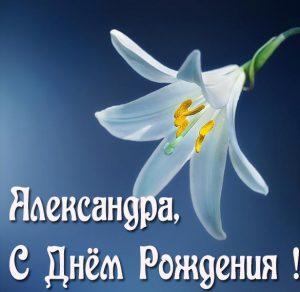 Скачать бесплатно Картинка с днем рождения Александра на сайте WishesCards.ru
