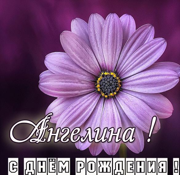 Скачать бесплатно Картинка с днем рождения Ангелина для девочки на сайте WishesCards.ru