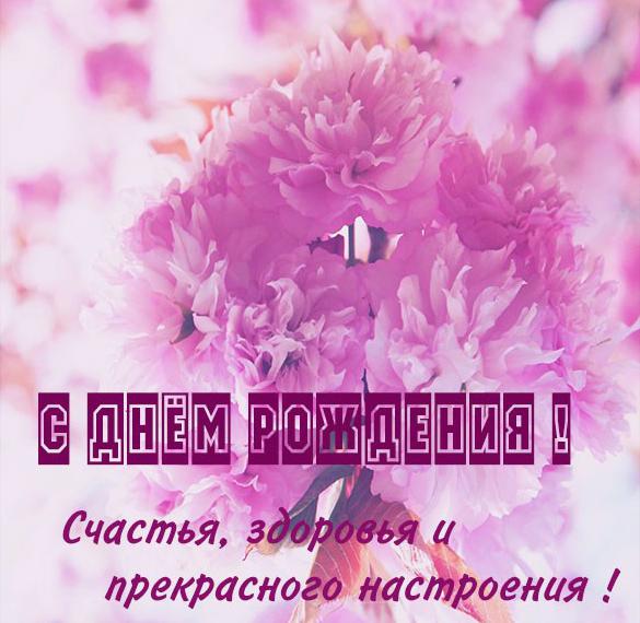 Скачать бесплатно Картинка с днем рождения без стихов женщине на сайте WishesCards.ru