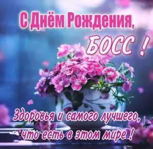 Скачать бесплатно Картинка с днем рождения босс на сайте WishesCards.ru