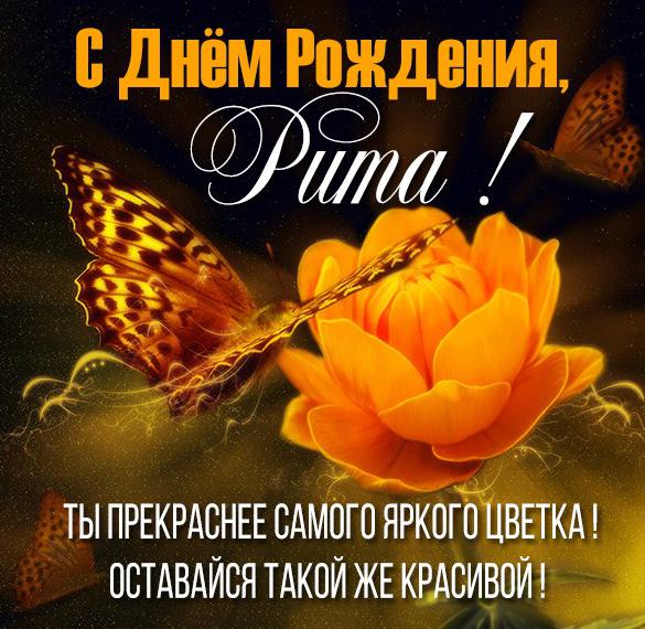 Скачать бесплатно Картинка с днем рождения девушке Рите на сайте WishesCards.ru