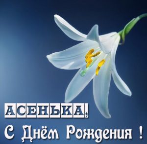 Скачать бесплатно Картинка с днем рождения для Асеньки на сайте WishesCards.ru