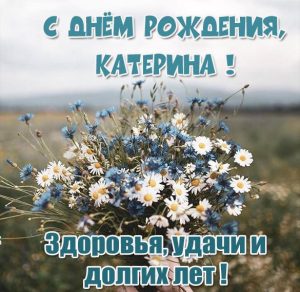 Скачать бесплатно Картинка с днем рождения для девушки Катерины на сайте WishesCards.ru