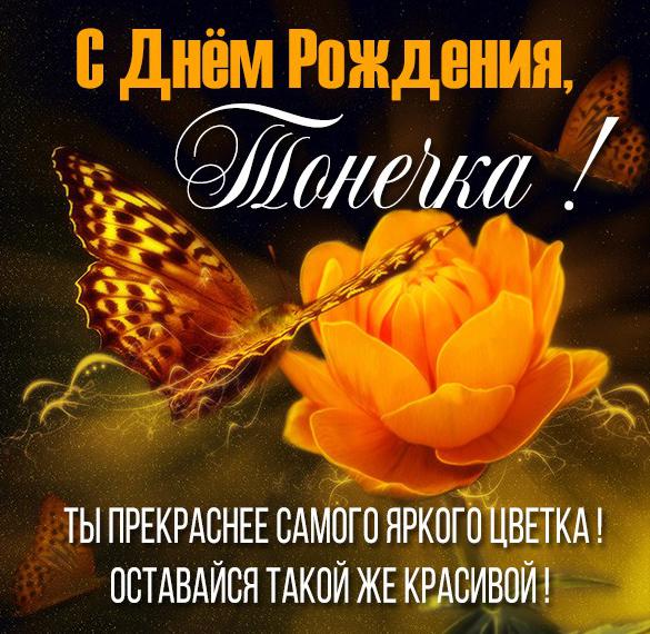 Скачать бесплатно Картинка с днем рождения для Тонечки на сайте WishesCards.ru