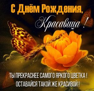 Скачать бесплатно Картинка с днем рождения дорогой женщине на сайте WishesCards.ru