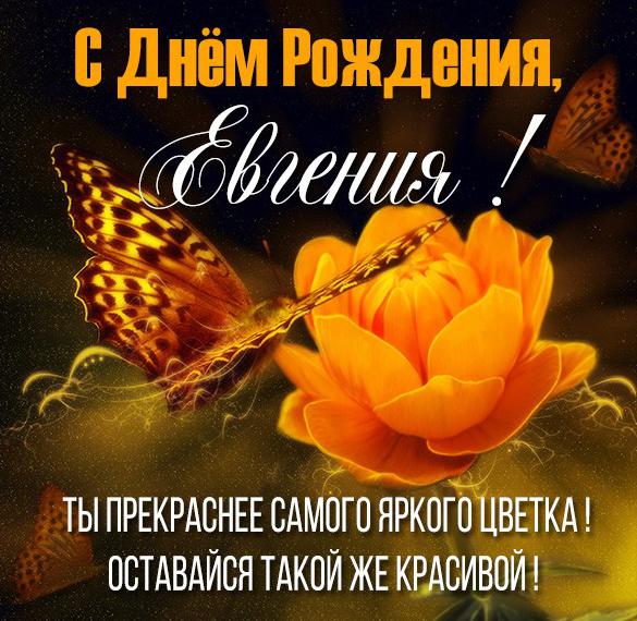 Скачать бесплатно Картинка с днем рождения Евгения для девочки на сайте WishesCards.ru