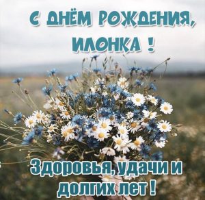 Скачать бесплатно Картинка с днем рождения Илонка на сайте WishesCards.ru
