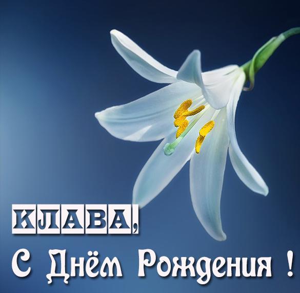Скачать бесплатно Картинка с днем рождения Клава на сайте WishesCards.ru
