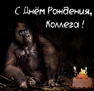 Скачать бесплатно Картинка с днем рождения коллегам по работе на сайте WishesCards.ru