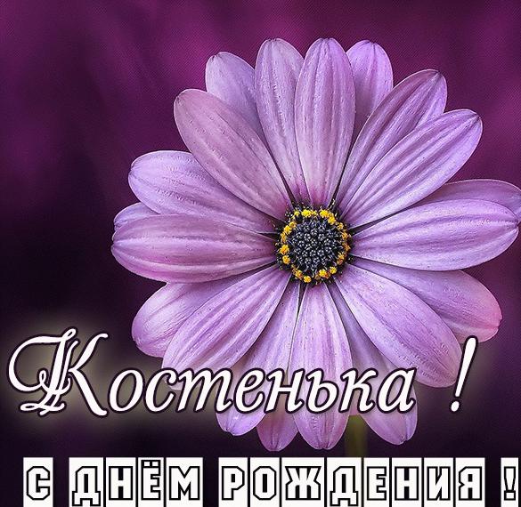 Скачать бесплатно Картинка с днем рождения Костенька на сайте WishesCards.ru