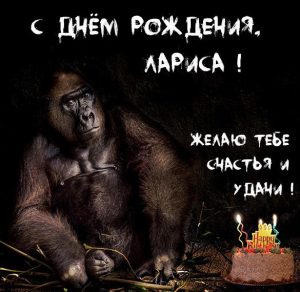 Скачать бесплатно Картинка с днем рождения Лариса с приколом на сайте WishesCards.ru