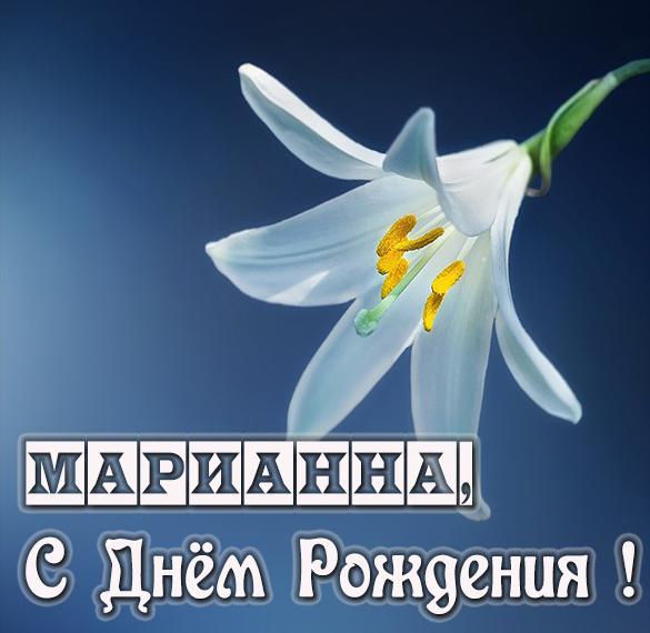 Скачать бесплатно Картинка с днем рождения Марианна на сайте WishesCards.ru