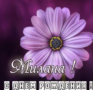 Скачать бесплатно Картинка с днем рождения Милана для девочки на сайте WishesCards.ru