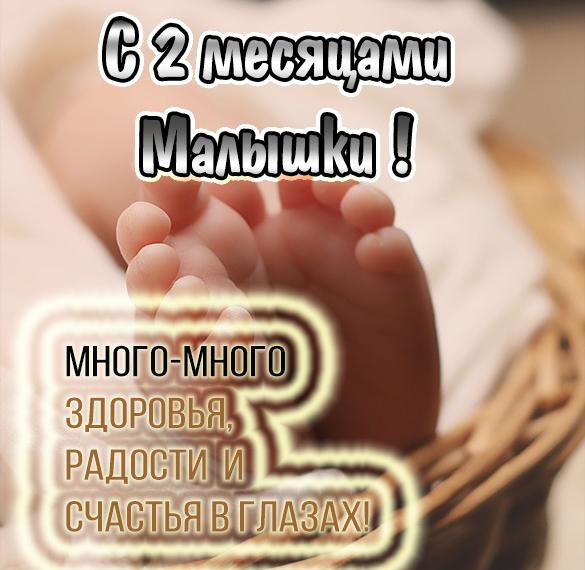 Скачать бесплатно Картинка с днем рождения на 2 месяца девочке на сайте WishesCards.ru