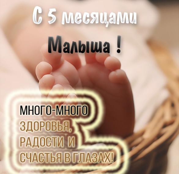 Скачать бесплатно Картинка с днем рождения на 5 месяцев на сайте WishesCards.ru