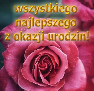 Скачать бесплатно Картинка с днем рождения на польском на сайте WishesCards.ru