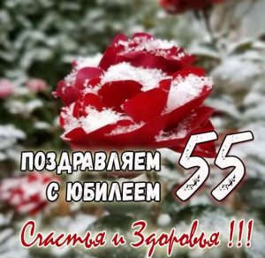 Скачать бесплатно Картинка с днем рождения на юбилей 55 лет на сайте WishesCards.ru