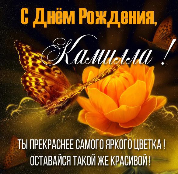 Скачать бесплатно Картинка с днем рождения подруге Камилле на сайте WishesCards.ru