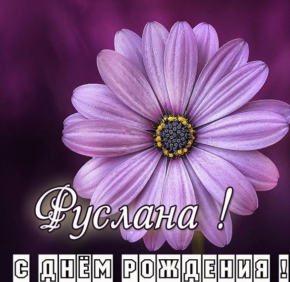 Скачать бесплатно Картинка с днем рождения Руслана женщине на сайте WishesCards.ru
