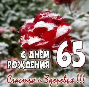 Скачать бесплатно Картинка с днем рождения с 65 лет на сайте WishesCards.ru