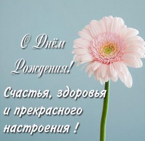 Скачать бесплатно Картинка с днем рождения с цветами и пожеланием на сайте WishesCards.ru