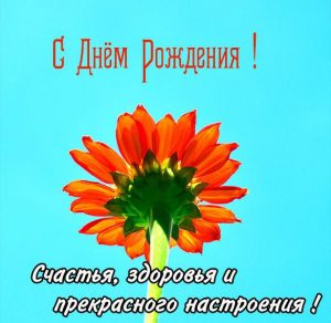 Скачать бесплатно Картинка с днем рождения с цветком на сайте WishesCards.ru