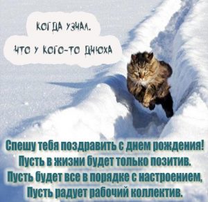 Скачать бесплатно Картинка с днем рождения с котом на сайте WishesCards.ru
