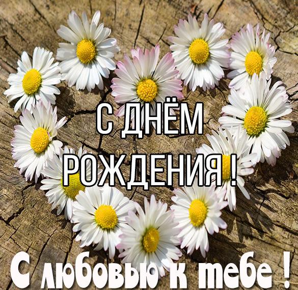 Скачать бесплатно Картинка с днем рождения с ромашками женщине на сайте WishesCards.ru