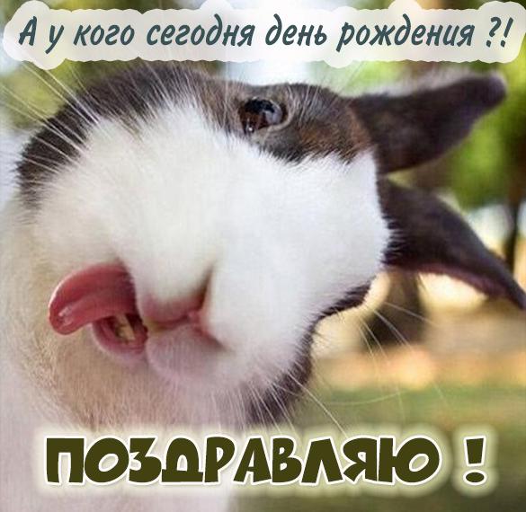 Скачать бесплатно Картинка с днем рождения с зайцем на сайте WishesCards.ru