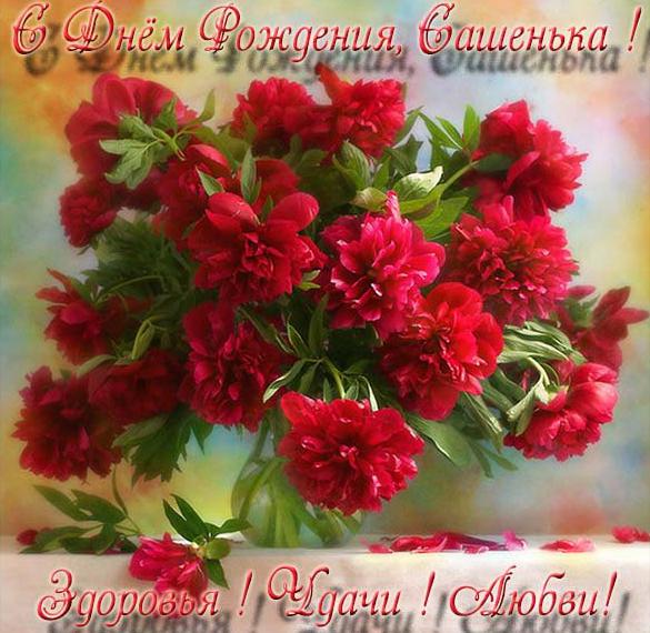 Скачать бесплатно Картинка с днем рождения Сашенька девушке на сайте WishesCards.ru