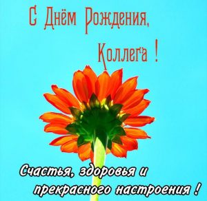 Скачать бесплатно Картинка с днем рождения сотруднице на сайте WishesCards.ru