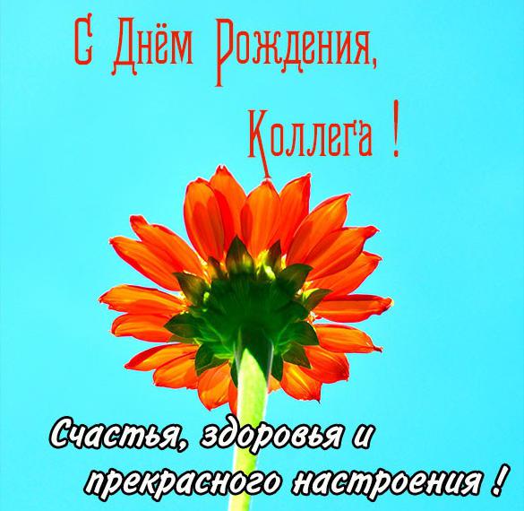 Скачать бесплатно Картинка с днем рождения сотруднице на сайте WishesCards.ru