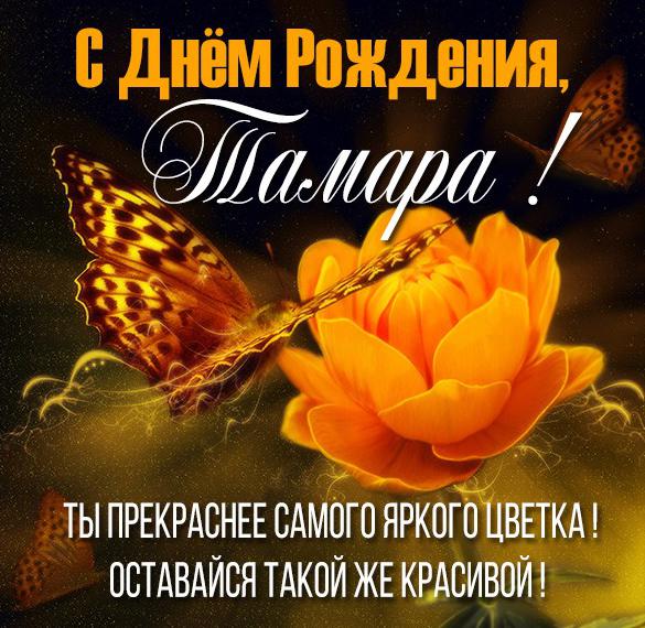 Скачать бесплатно Картинка с днем рождения Тамара на сайте WishesCards.ru