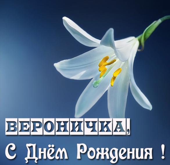 Скачать бесплатно Картинка с днем рождения Вероничка на сайте WishesCards.ru